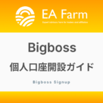 BigBoss【個人】口座開設ガイド！