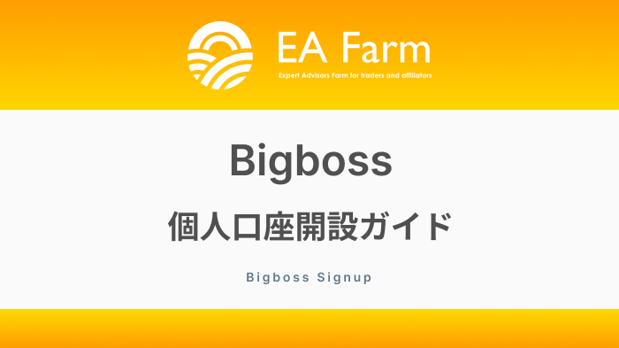 BigBoss【個人】口座開設ガイド！