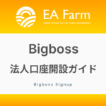 BigBoss【法人】口座開設ガイド！