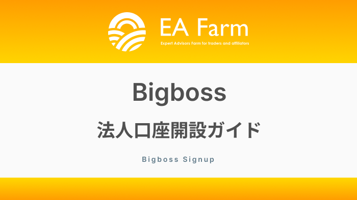 BigBoss【法人】口座開設ガイド！